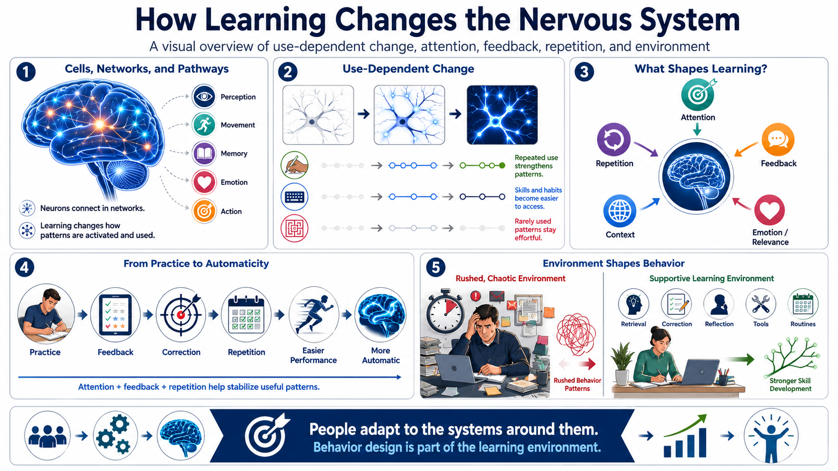 Blank white placeholder image for module 2, The Brain as an Adaptive System.